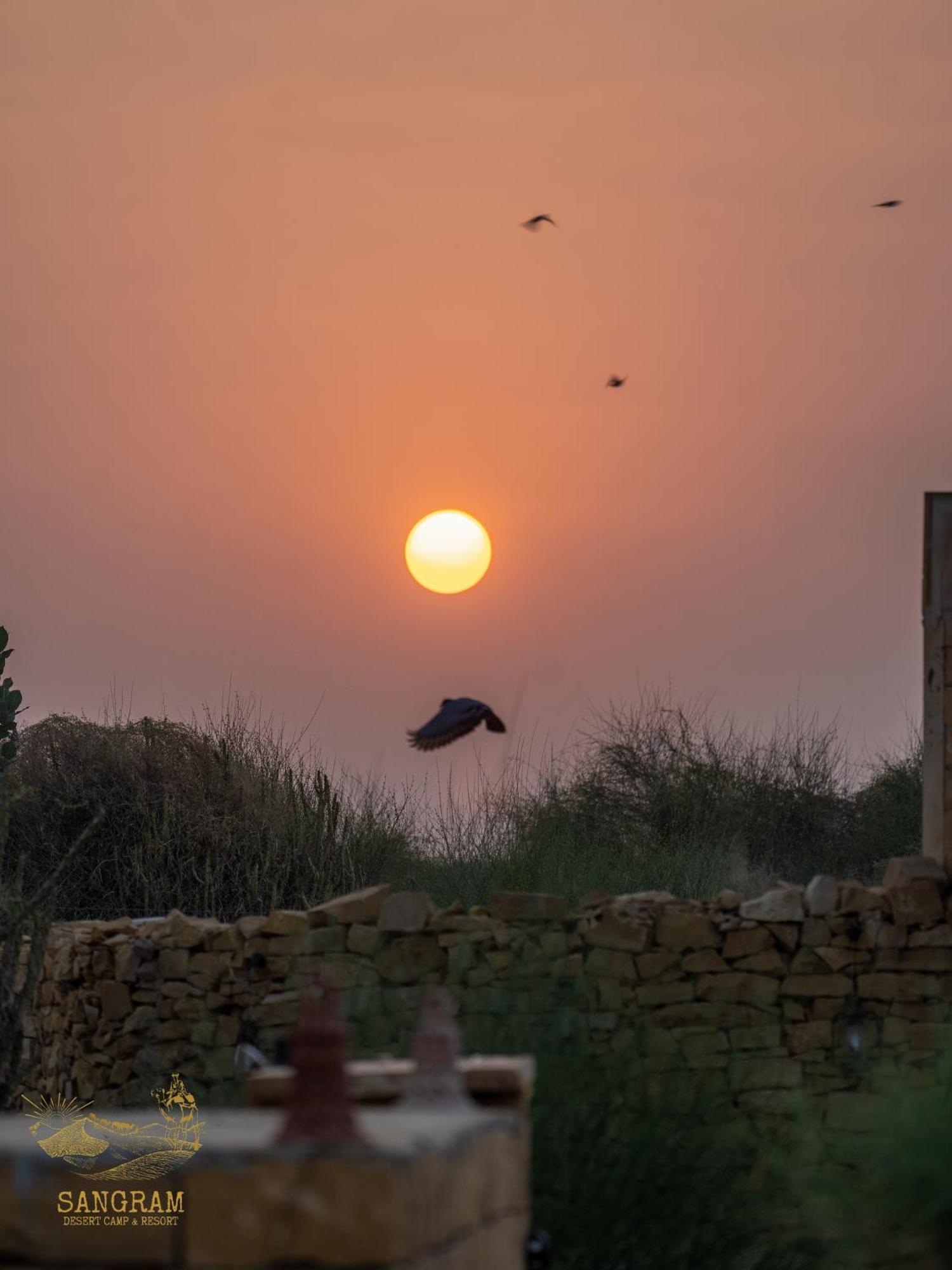 Sangram Desert Camp Jaisalmer Zewnętrze zdjęcie